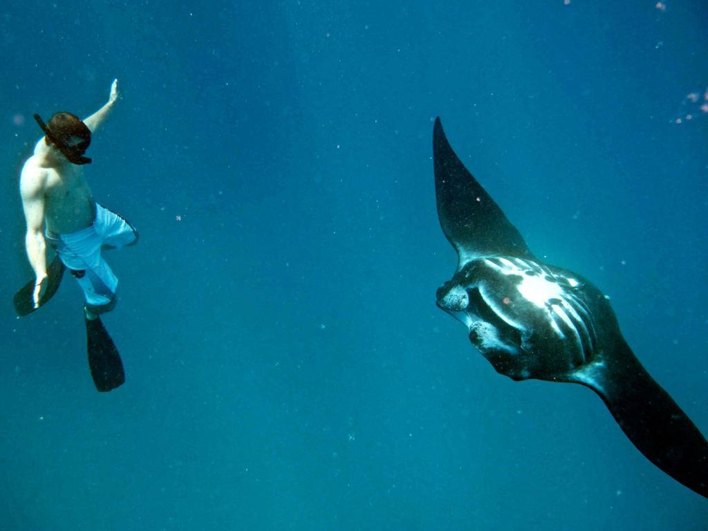 Mantaray Island Resort Nanuya Balavu Island Ngoại thất bức ảnh
